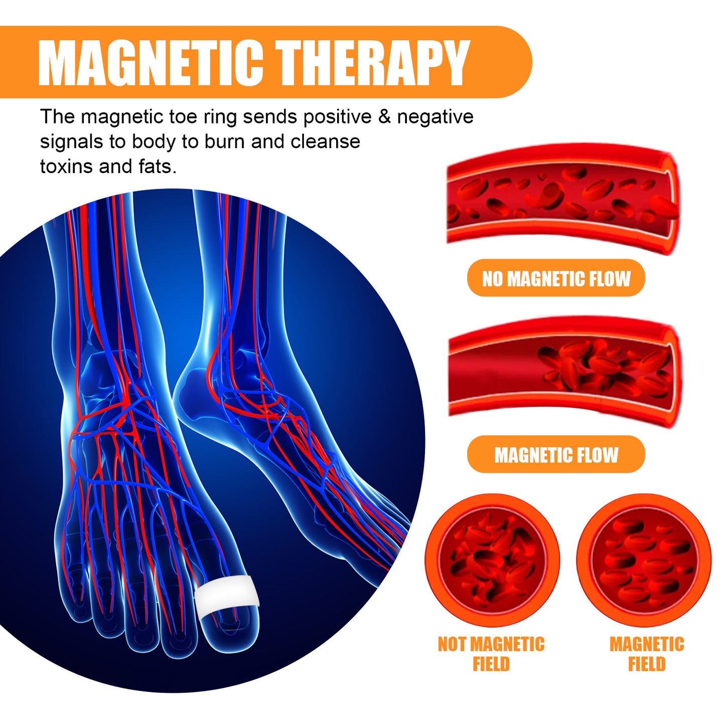 Slimming Toe Ring Toe Ring Tummy Shaper Slimming Silicone Firms Skin and Shows Off Slim Waist