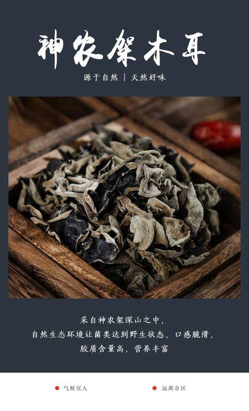 神农架野生黑木耳